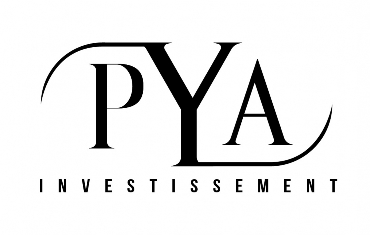 gallery/pya logo def_plan de travail 1